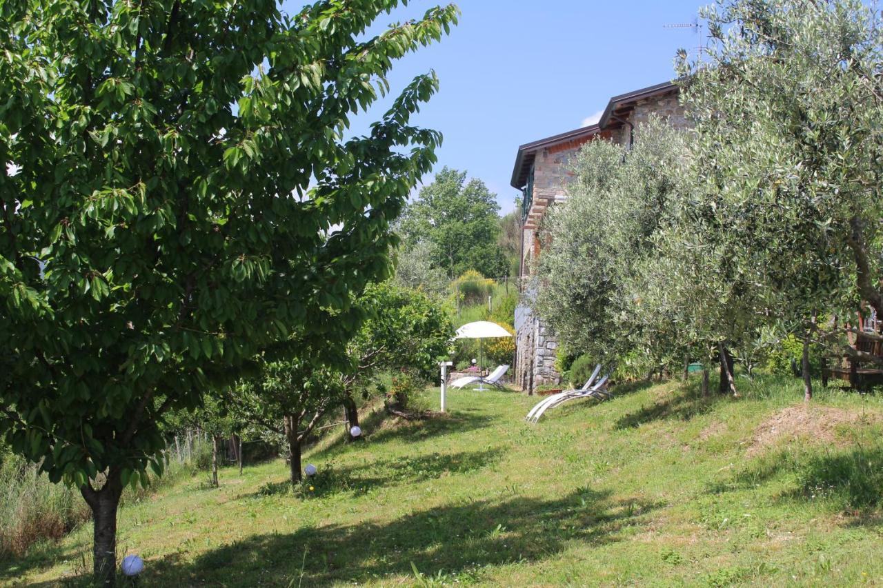 Agriturismo Angiò nel Cerè Bracelli Exterior foto