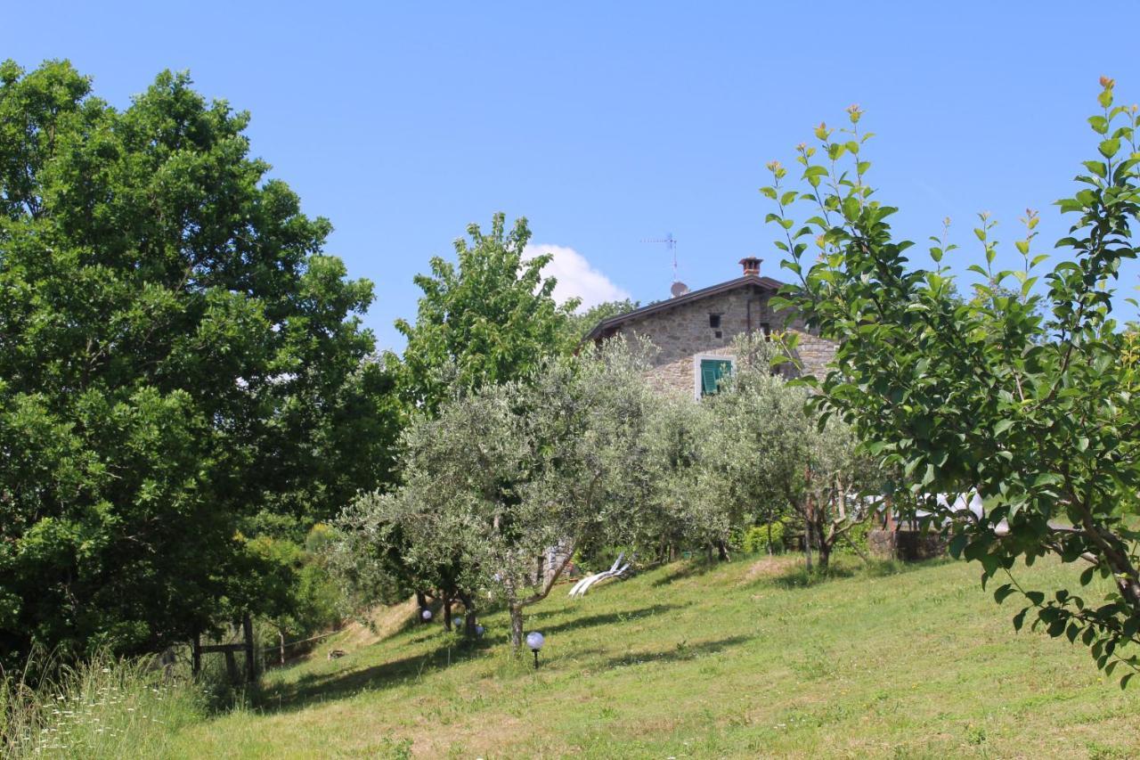 Agriturismo Angiò nel Cerè Bracelli Exterior foto