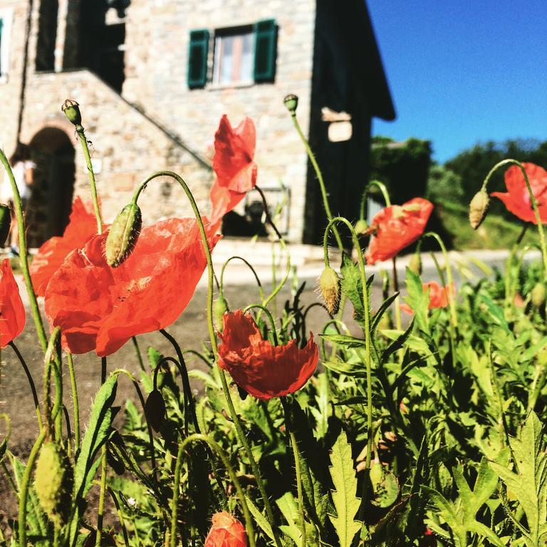 Agriturismo Angiò nel Cerè Bracelli Exterior foto
