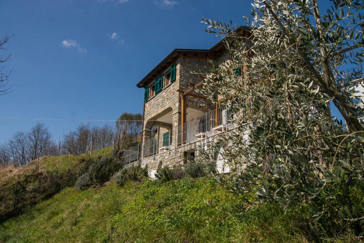 Agriturismo Angiò nel Cerè Bracelli Exterior foto
